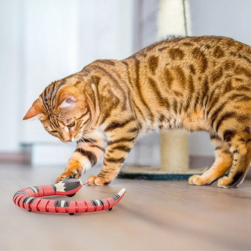 SnakeCat - Brinquedo Inteligente de Cobra para Gatos