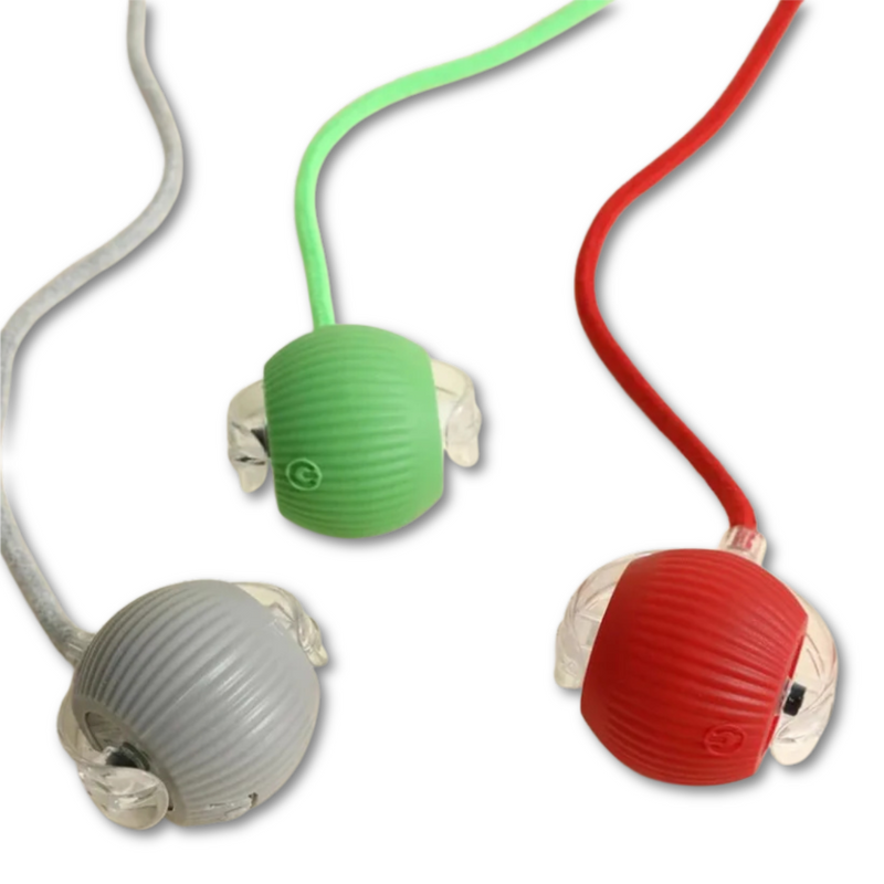 EletroDog - Brinquedo de Bolinha Eletrônica para Cachorros