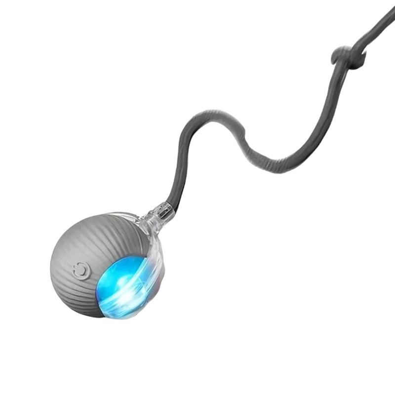 EletroDog - Brinquedo de Bolinha Eletrônica para Cachorros