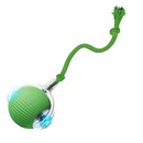 EletroDog - Brinquedo de Bolinha Eletrônica para Cachorros