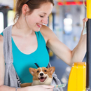 PetBag - Mochila de Ombro para Transporte de Pets
